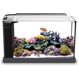 Fluval SEA Evo Saltwater Aquarium Kit 19L black Fluval SEA Evo Saltwater Aquarium Kit 19L black