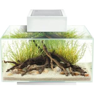 Fluval Edge 2.0 23L - white Fluval Edge 2.0 23L - white