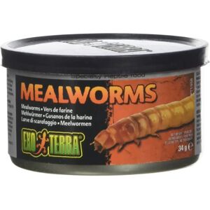 Exo Terra - Vers de farine en conserve - Nourriture pour reptiles - Publicité Exo Terra - Vers de farine en conserve - Nourriture pour reptiles - Publicité