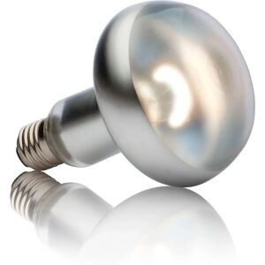 Lampe Chauffante pour Reptiles Exo Terra PT2140 - 150W - Chaleur & Lumière - Publicité Lampe Chauffante pour Reptiles Exo Terra PT2140 - 150W - Chaleur & Lumière - Publicité