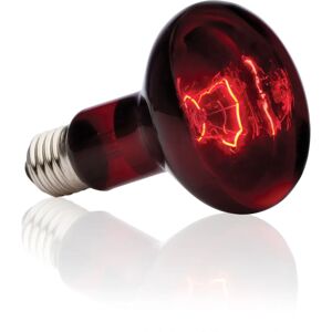 Lampe chauffante pour reptiles Exo Terra PT2144 - Infrarouge 100W - Publicité Lampe chauffante pour reptiles Exo Terra PT2144 - Infrarouge 100W - Publicité