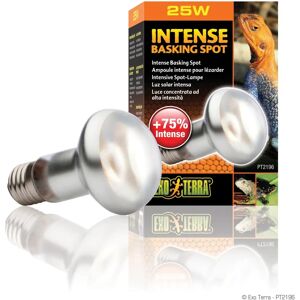 Exo Terra Large Fluorescent Canopy - 90cm - Terrarium Lighting Exo Terra Large Fluorescent Canopy - 90cm - Terrarium Lighting