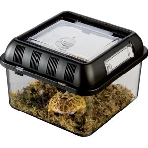 Hagen Exo Terra Faunarium Plastic Terrarium - Large - 46 x 30 x 17cm Hagen Exo Terra Faunarium Plastic Terrarium - Large - 46 x 30 x 17cm