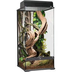 Exo Terra Forêt Tropicale - Grand Terrarium Semi-Aquatique - Publicité Exo Terra Forêt Tropicale - Grand Terrarium Semi-Aquatique - Publicité