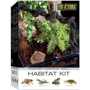 Exo Terra Small Rainforest Habitat Kit - Terrarium in Glass Exo Terra Small Rainforest Habitat Kit - Terrarium in Glass