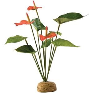 Exo Terra Esőerdei Növény - Flamingóvirág - 6,5x29x5cm Exo Terra Esőerdei Növény - Flamingóvirág - 6,5x29x5cm