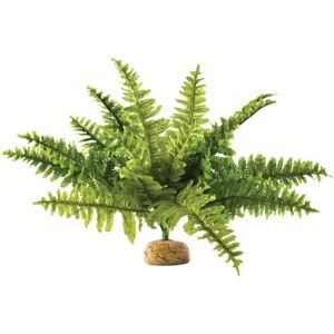 Exo Terra Boston Fern Medium - Terrarium Plant Exo Terra Boston Fern Medium - Terrarium Plant