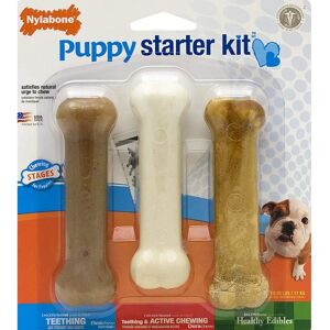 Nylabone Puppy Chew Kit - Dog Toy - Chicken - Nylon - Dental Care Nylabone Puppy Chew Kit - Dog Toy - Chicken - Nylon - Dental Care