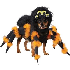 California Costumes Cachorro Araña - Disfraz Divertido de Halloween California Costumes Cachorro Araña - Disfraz Divertido de Halloween
