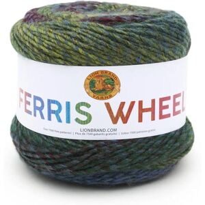 Lion Brand Yarn Riesenrad - Multikleurig acrylgaren - Breien & haken - 85g Lion Brand Yarn Riesenrad - Multikleurig acrylgaren - Breien & haken - 85g