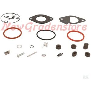 Briggs & Stratton 796184 Kit di riparazione del carburatore Briggs & Stratton 796184 Kit di riparazione del carburatore