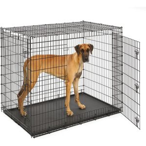 Midwest Cage pour chiens - XXL à double porte pour grandes races - Publicité Midwest Cage pour chiens - XXL à double porte pour grandes races - Publicité
