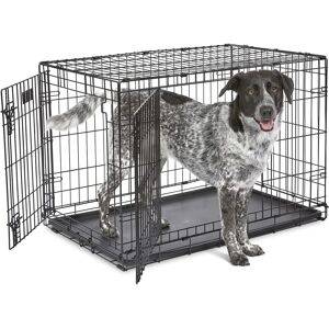 MidWest Homes for Pets 91cm iCrate Double Door Dog Kennel - Dog Kennel MidWest Homes for Pets 91cm iCrate Double Door Dog Kennel - Dog Kennel