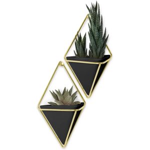 Umbra Model 470753-1137 Wall-mounted Indoor Pot Plant - Black & Gold Umbra Model 470753-1137 Wall-mounted Indoor Pot Plant - Black & Gold