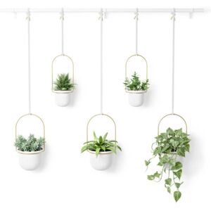 Wiszący doniczkowy kwietnik wewnętrzny Umbra Triflora - Doniczka/Roślina Wiszący doniczkowy kwietnik wewnętrzny Umbra Triflora - Doniczka/Roślina