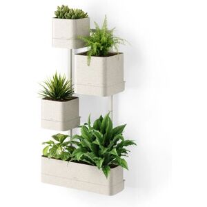 Umbra Cubiko Wandplanter - Innenwandmontiert Pflanzer Umbra Cubiko Wandplanter - Innenwandmontiert Pflanzer