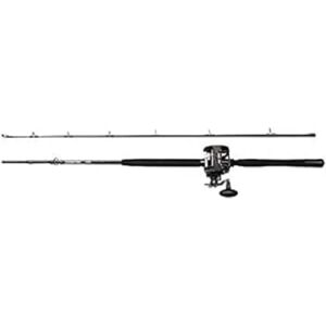 Penn Warfare Combo 30 LBs - Fishing Combo Penn Warfare Combo 30 LBs - Fishing Combo