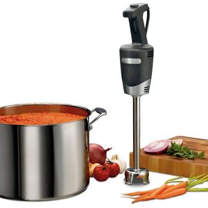 Waring WSB40K Mixeur plongeant 2 vitesses 23L - Publicité Waring WSB40K Mixeur plongeant 2 vitesses 23L - Publicité