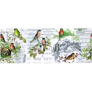 Tim Holtz idea-ology Collage Paper Aviary - Collage Paper Tim Holtz idea-ology Collage Paper Aviary - Collage Paper