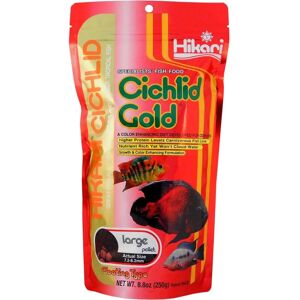 Hikari Cichlid Gold Fish Food Large Pellet Floating Type - Fish Food Hikari Cichlid Gold Fish Food Large Pellet Floating Type - Fish Food