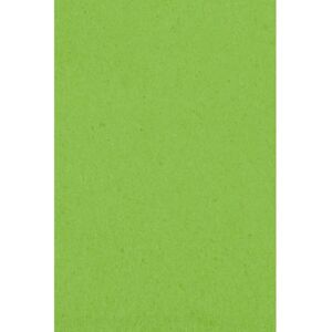 Amscan - 77020-53 - Kiwi Green - 1m wide - Tablecover Amscan - 77020-53 - Kiwi Green - 1m wide - Tablecover