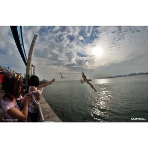 Rokinon 8mm f/3.5 HD Fish-eye Lens for Sony E-Mount Rokinon 8mm f/3.5 HD Fish-eye Lens for Sony E-Mount