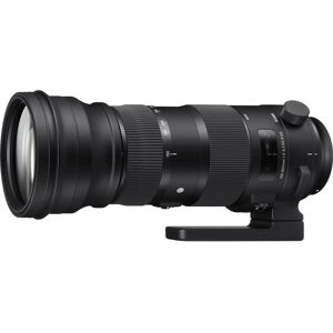 Sigma 150-600mm F5-6.3 DG OS HSM Black - Telephoto lens Sigma 150-600mm F5-6.3 DG OS HSM Black - Telephoto lens