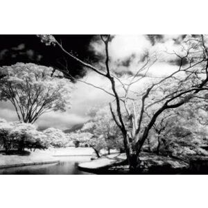 Cokin WP1R007 Infrared Camera Lens Filter - 84mm Cokin WP1R007 Infrared Camera Lens Filter - 84mm