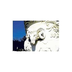 Cokin P154 Neutral Density Camera Filter - Camera Lens Filter Cokin P154 Neutral Density Camera Filter - Camera Lens Filter