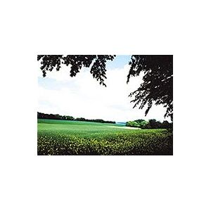 Cokin Grau 130mm X121L Variable ND Filter - Filter for Landscape Photography Cokin Grau 130mm X121L Variable ND Filter - Filter for Landscape Photography