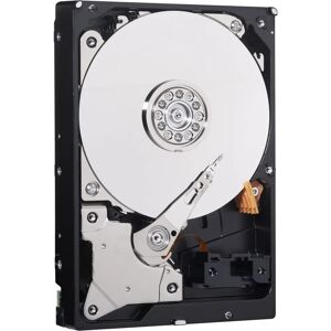 Western Digital Blue 500 GB 3.5" SATA HDD - Internal Drive Western Digital Blue 500 GB 3.5" SATA HDD - Internal Drive