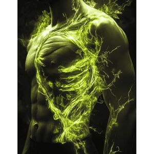 Swanson L-Lysine 500mg - Immune Support, Stress Relief Swanson L-Lysine 500mg - Immune Support, Stress Relief