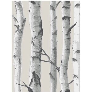 Fine Decor NuWallpaper Birch Tree Grey Peel and Stick Wallpaper - 5.5m x 0.52m Fine Decor NuWallpaper Birch Tree Grey Peel and Stick Wallpaper - 5.5m x 0.52m