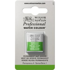 Winsor & Newton Professional Watercolour Half Pan - Permanent Sap Green - Series 1 - Watercolour Paint Winsor & Newton Professional Watercolour Half Pan - Permanent Sap Green - Series 1 - Watercolour Paint