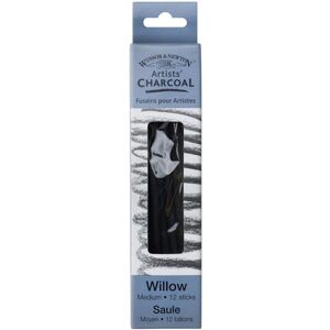 Winsor & Newton 7005173 Artist Charcoal Pencil - Artist quality, Natural willow wood, High black intensity Winsor & Newton 7005173 Artist Charcoal Pencil - Artist quality, Natural willow wood, High black intensity