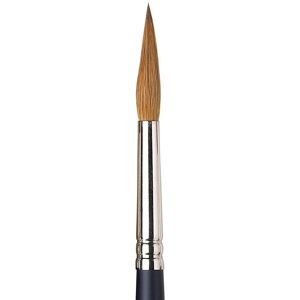 Winsor & Newton Winsor & Newton Watercolour Sable Brushes - Pointed Round - Watercolour Brushes Winsor & Newton Winsor & Newton Watercolour Sable Brushes - Pointed Round - Watercolour Brushes