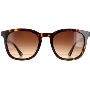 Police SPLB42 Dark Havana Brown Square Sunglasses - Sunglasses Police SPLB42 Dark Havana Brown Square Sunglasses - Sunglasses
