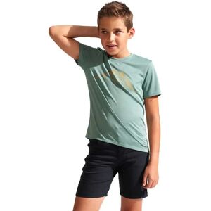 Pearl Izumi - Summit SS - Groene - T-shirt Pearl Izumi - Summit SS - Groene - T-shirt