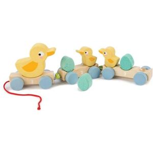 Tender Leaf Toys - Canard à tirer - Jouets en bois Tender Leaf Toys - Canard à tirer - Jouets en bois