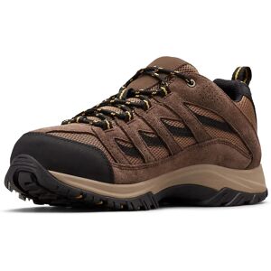 Columbia Crestwood Dark Brown Hiking Shoe - Men Columbia Crestwood Dark Brown Hiking Shoe - Men