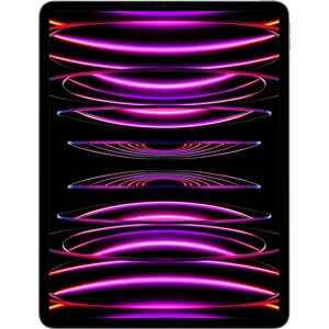 Apple iPad Pro M2 12,9 inch 512GB Space Grey Apple iPad Pro M2 12,9 inch 512GB Space Grey