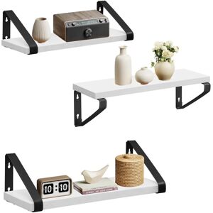 Vasagle Industrial Design Floating Shelves Set - Wall Mounted Display Vasagle Industrial Design Floating Shelves Set - Wall Mounted Display