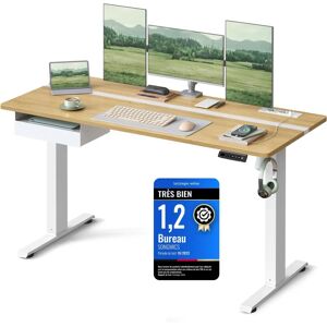 VASAGLE Elektrischer Höhenverstellbarer Schreibtisch - Weiß & Gold - 72-120cm VASAGLE Elektrischer Höhenverstellbarer Schreibtisch - Weiß & Gold - 72-120cm