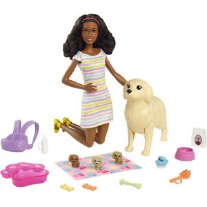 Barbie HCK76 - Barbie Pop met Pupjes - Speelset & Accessoires Barbie HCK76 - Barbie Pop met Pupjes - Speelset & Accessoires