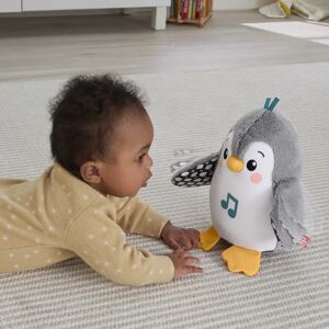 Fisher-Price HNC10 Learning Toy - Penguin, Educational Fisher-Price HNC10 Learning Toy - Penguin, Educational