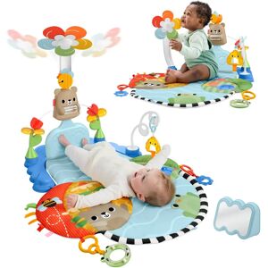 Fisher-Price HYR60 Baby Gym - Activity Center Fisher-Price HYR60 Baby Gym - Activity Center