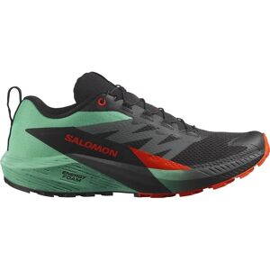Salomon SENSE RIDE 5 - Trail Running Shoes Salomon SENSE RIDE 5 - Trail Running Shoes