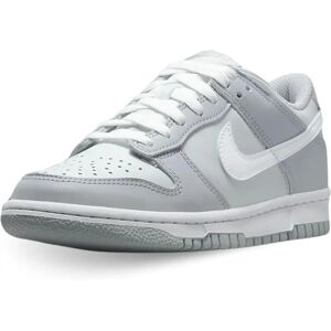 Nike Børne Dunk Low To-farvet Grå - Børn - Grå Sneakers Nike Børne Dunk Low To-farvet Grå - Børn - Grå Sneakers