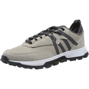 Timberland Treeline Mountain Runner Beige - Sneakers Timberland Treeline Mountain Runner Beige - Sneakers