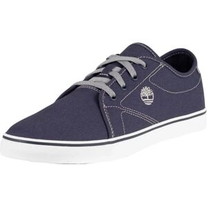Timberland Skape Park Navy Trainers - Casual Shoe Timberland Skape Park Navy Trainers - Casual Shoe